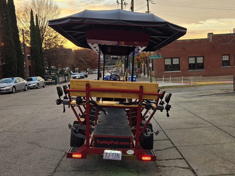 2019 Trident Pedal party bike, Day Tripper photo 3